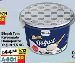 BİRŞAH TAM KIVAMINDA YOĞURT